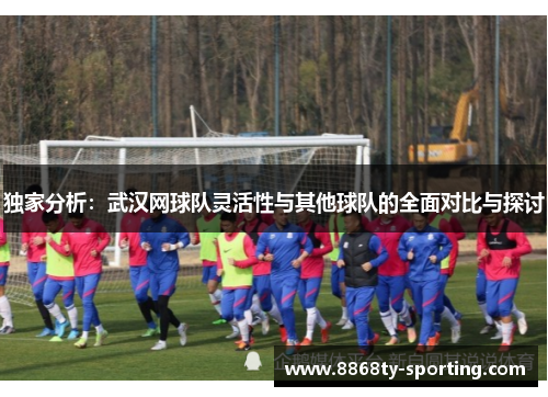 独家分析：武汉网球队灵活性与其他球队的全面对比与探讨