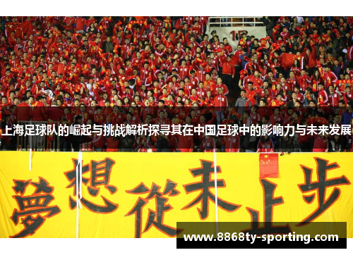 上海足球队的崛起与挑战解析探寻其在中国足球中的影响力与未来发展